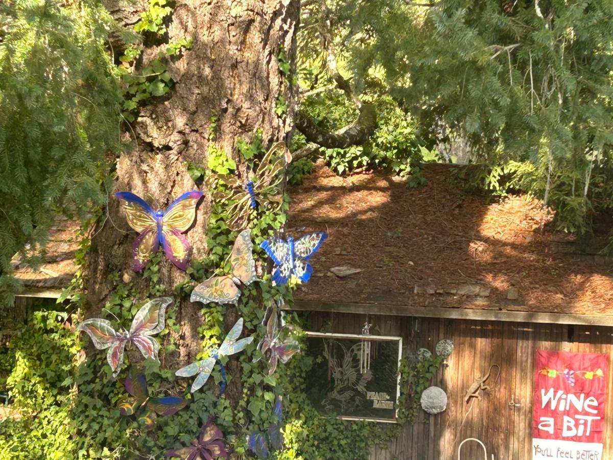 Foothill House Bed and Breakfast Calistoga Buitenkant foto